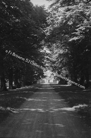 CASTLETOWN HOUSE  THE AVENUE